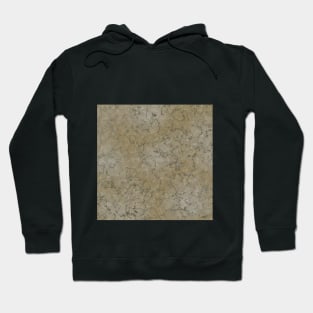 Gray marble stone with dark veins Hoodie